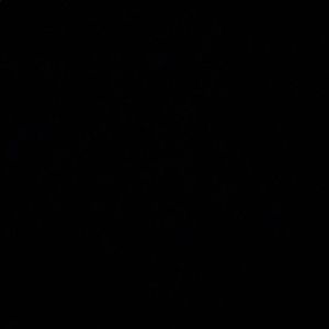 Meet your Posher, Wade